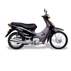 Biz 100 até 2005